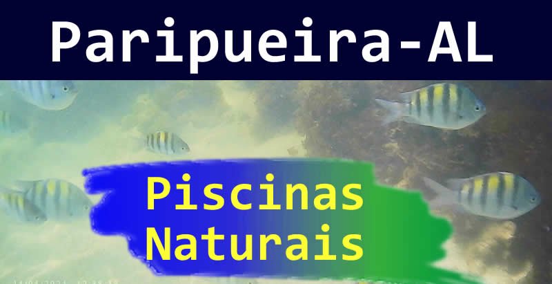 Paripueira - AL - Passeio nas Piscinas Naturais -  Piracaia Mais 
